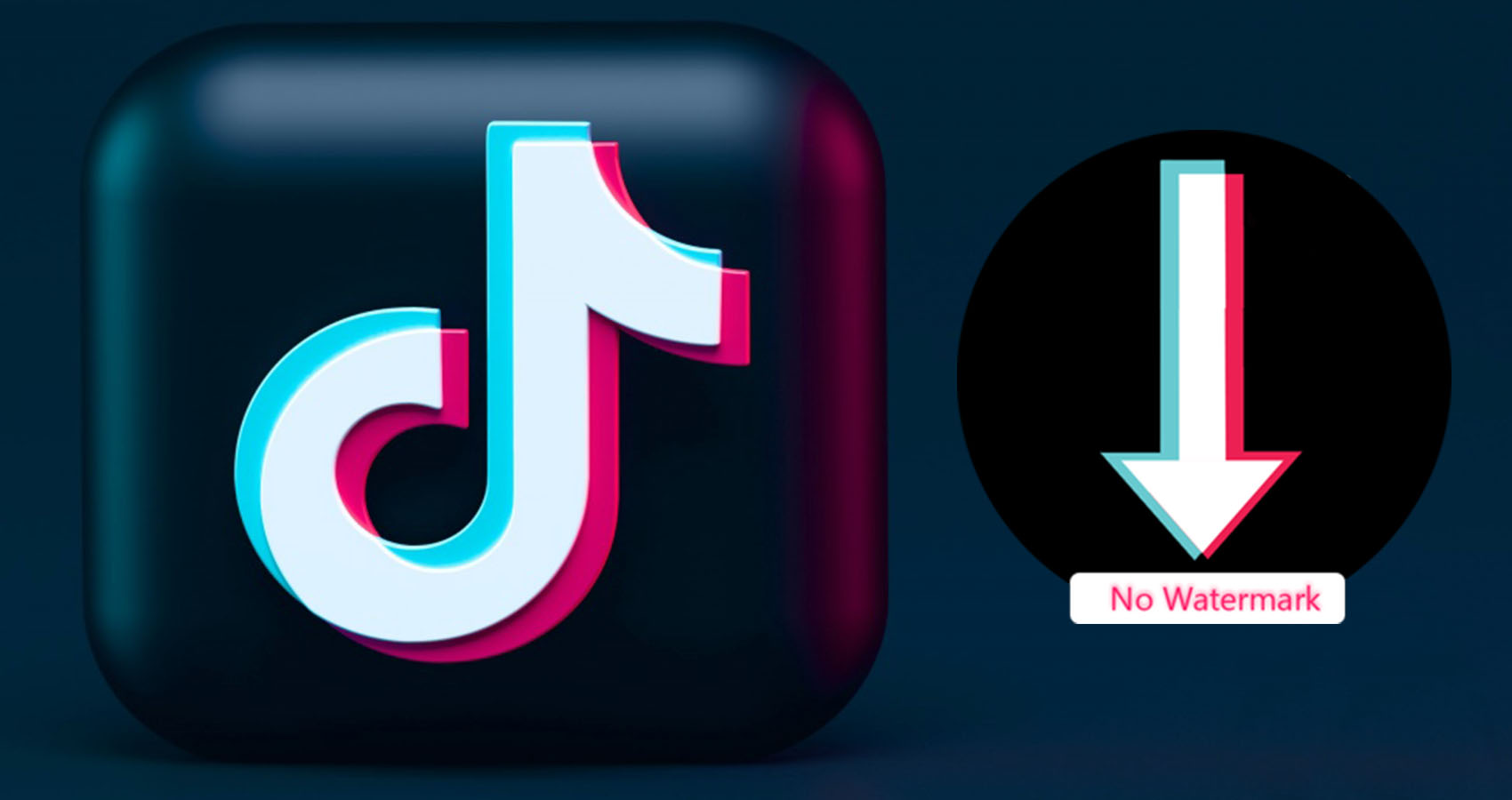 أفضل 3 أدوات تنزيل فيديوهات تيك توك بدون العلامه المائيه