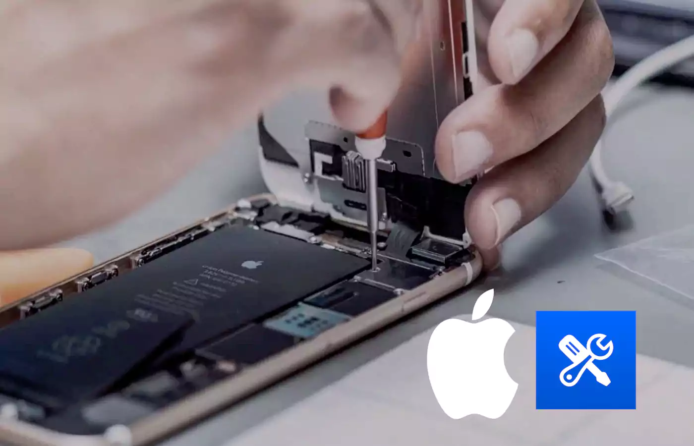 أجهزة iPad تنضم إلى برنامج الإصلاح الذاتي من Apple