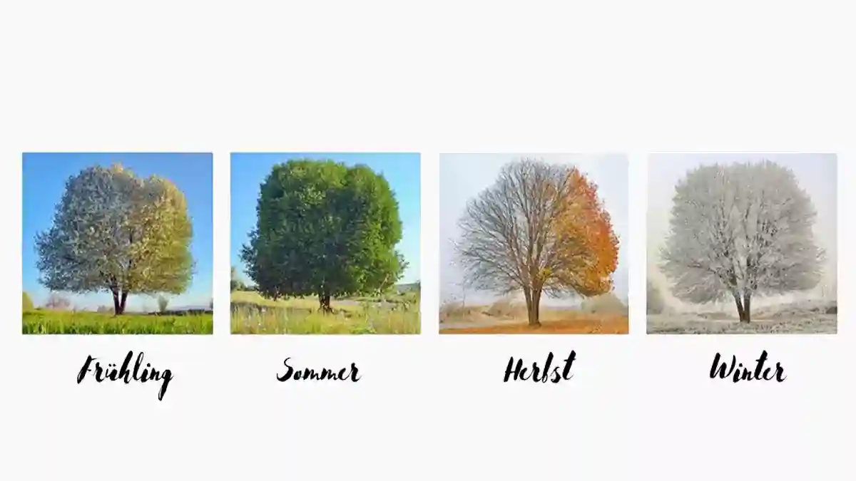 هذه الصورة تحتوى على صور مصغرة لفصول السنة وتعلم الأرقام وأيام الأسبوع وفصول السنة بالألمانية مع أمثلة سهلة وقواعد الاستخدام لتطوير مهاراتك في اللغة الألمانية بسرعة.