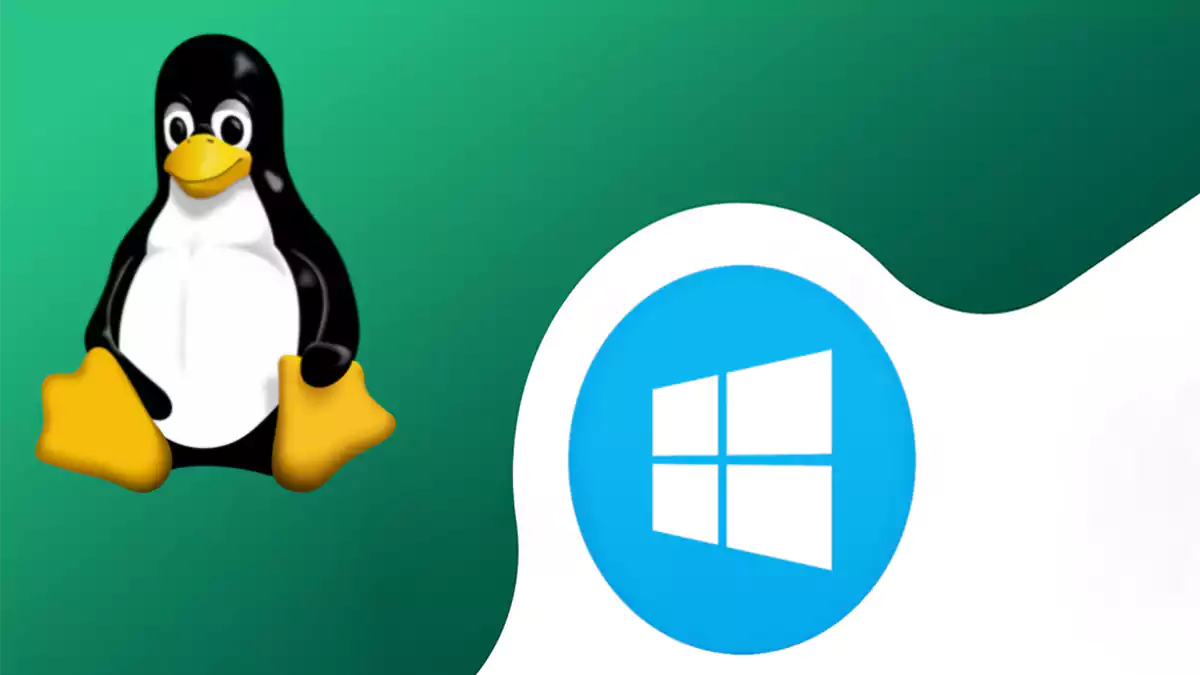 وداعاً ويندوز.. فرنسا تُقرر الهروب إلى «لينكس» لكسر الهيمنة الأمريكية